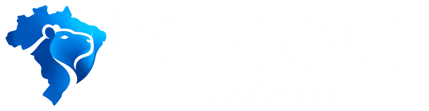 Dingous AI Ecosystem